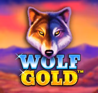 Wolf Gold slot game featured, a popular choice at Rainbet casino.